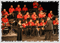 Vnon koncert